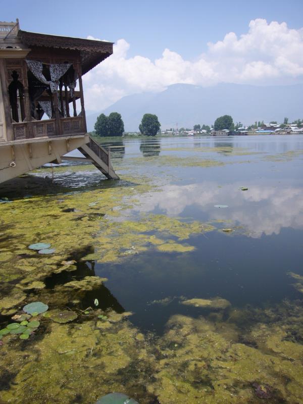Travel - India - Kashmir - Srinagar - Houseboat