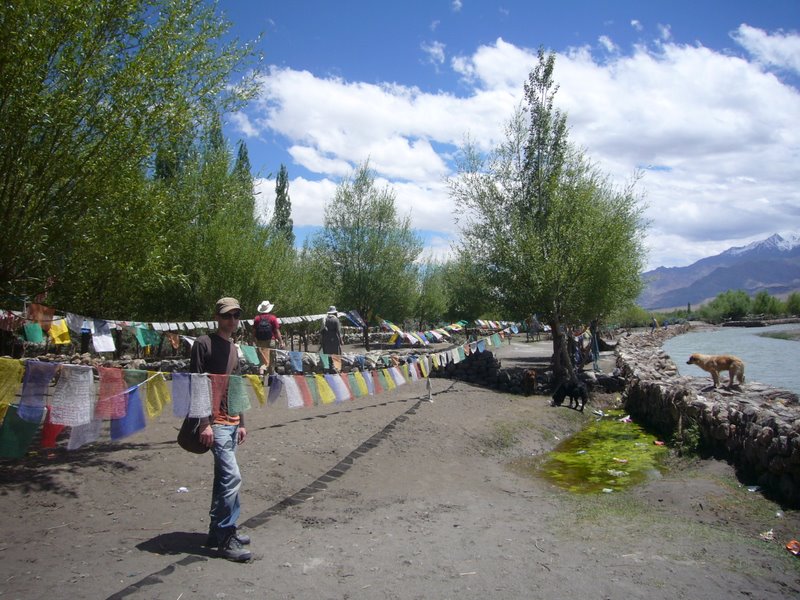 Travel - India - Ladakh - Choglamsar