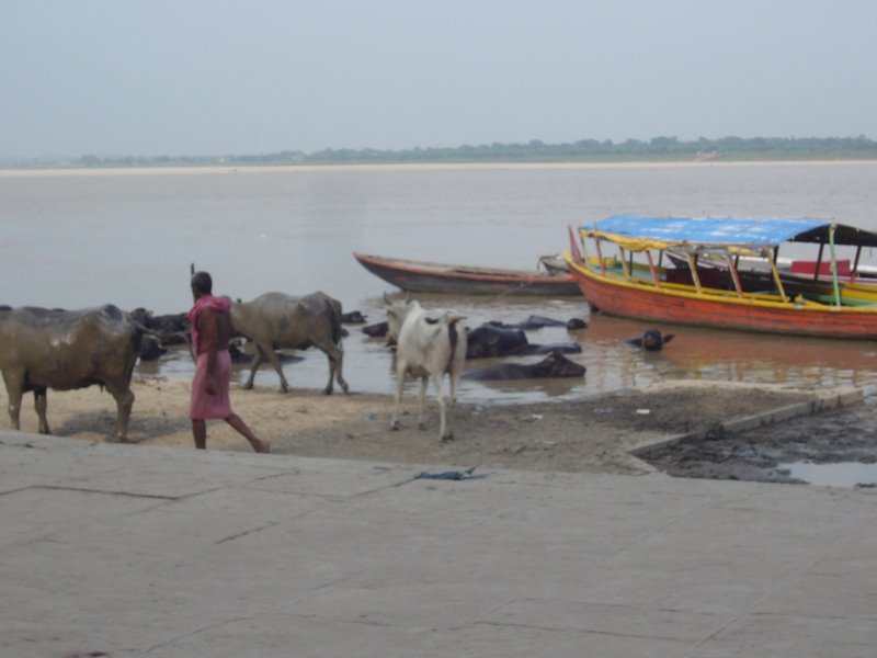 Travel - India - Varanasi - Ghats