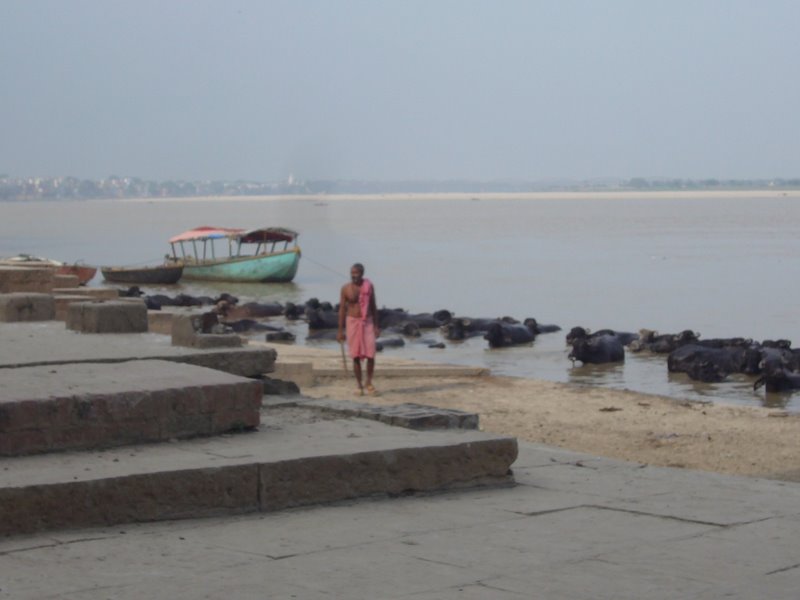 Travel - India - Varanasi - Ghats